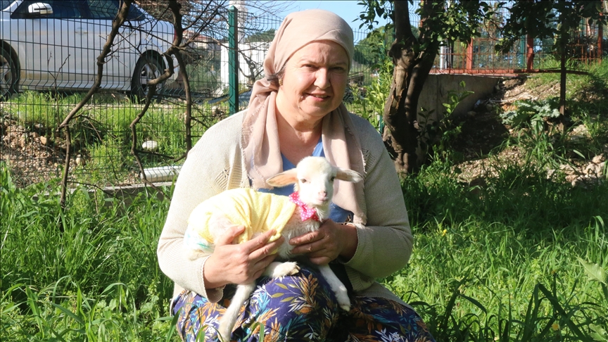 Gruaja e merr qengjin e saj  të cilin nuk e lëshon aspak nga krahu  në park dhe për vizita