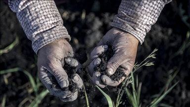 Ancient DNA: Study shows 70–100% ancestry turnover in most of Europe from Anatolian farmers