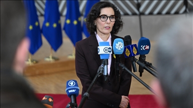 EU commissioner urges expanded Rafah access to boost Gaza aid