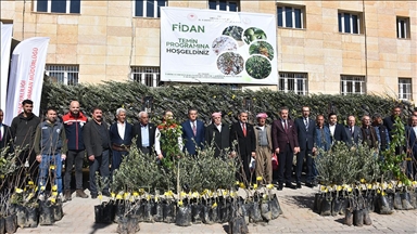 Şırnak'ta yüzde 75 hibeyle çiftçilere 25 bin 200 meyve fidanı dağıtıldı