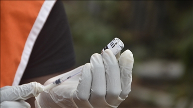 Mpox : deux nouveaux cas détectés à La Réunion, quatre au total depuis le début de l’année