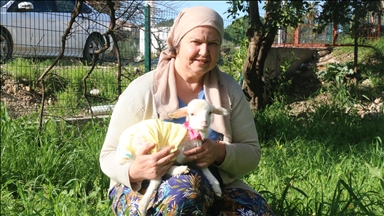 Gruaja e merr qengjin e saj, të cilin nuk e lëshon aspak nga krahu, në park dhe për vizita