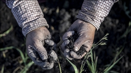 Ancient DNA: Study shows 70–100% ancestry turnover in most of Europe from Anatolian farmers