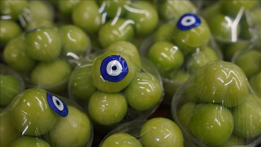 لە سلێمانی نرخی کیلۆیەک هەڵوژە گەیشتووەتە ٥٠٠ دۆلار