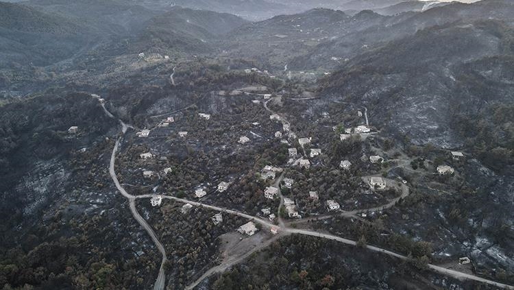 В столкновениях в сирийском Лазкие погиб сотрудник сил безопасности