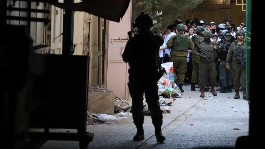 Illegal Israeli settler assaults Palestinian woman in occupied West Bank