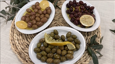 Coğrafi işaretli Milas zeytinyağının ardından Çekişke zeytini de Avrupa yolunda