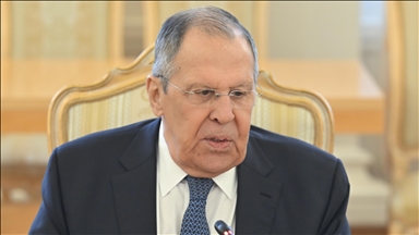 Russian, Egyptian foreign ministers coordinate positions on international platforms