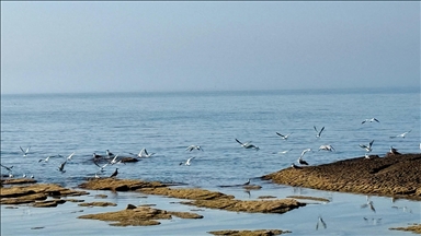 Kazakistan, su seviyesi düşen Hazar Denizi için 2 milyon dolardan fazla kaynak ayırdı