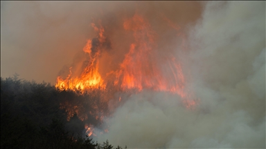 Güney Kore'nin Miryang kentindeki orman yangınını söndürme çalışmaları 2 gündür sürüyor