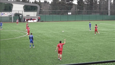 Turski fudbaler reanimirao galeba na terenu nakon što ga je lopta pogodila u letu