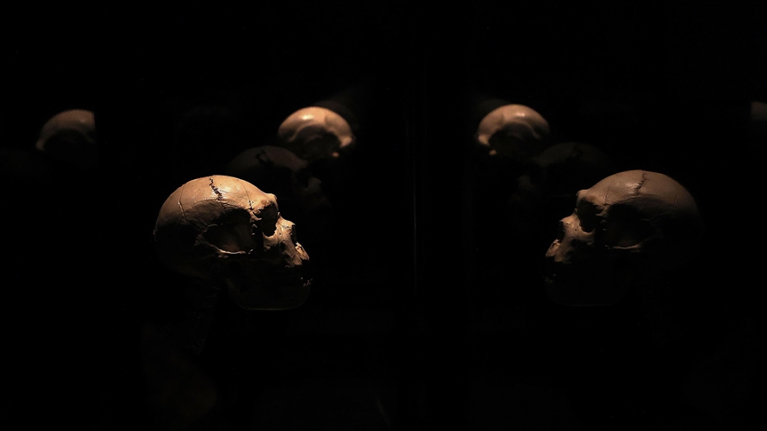 Humans were recording information 40,000 years ago, long before writing: Study