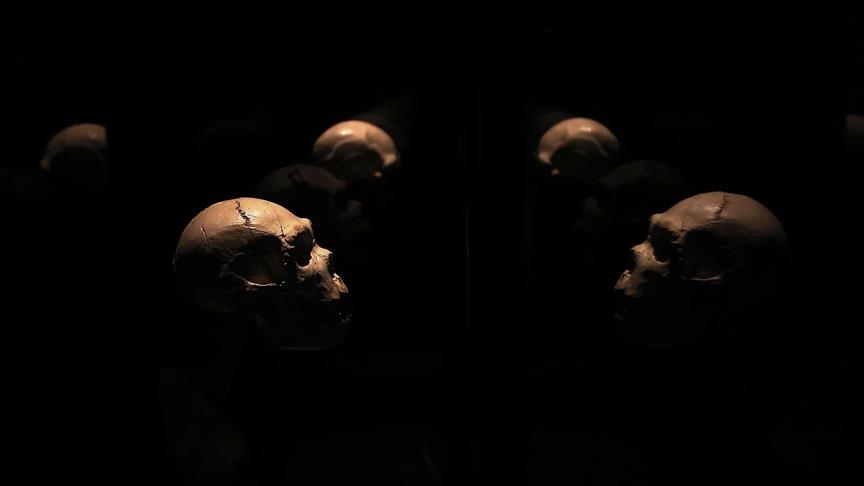 Студија: Луѓето бележеле информации пред повеќе од 40.000 години, долго пред појавата на писмото