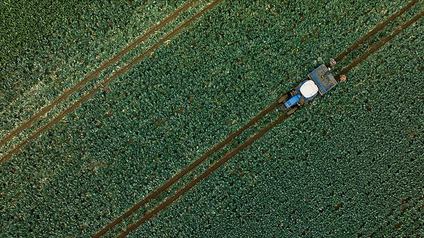 Son dönem yağışları su kaynaklarına ve tarımsal üretime olumlu yansıdı