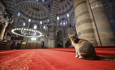 Džamija sultanije Mihrimah: Biser Mimara Sinana stoljećima motri nad Bosforom