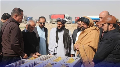 Узбекская компания начала поисковые работы по разведке углеводородов в Афганистане