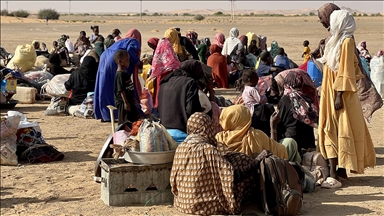 BMGK üyelerinden, Sudan'da taraflara çatışmayı derhal durdurmaları çağrısı