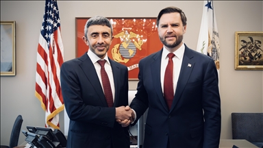 نائب رئيس الولايات المتحدة ووزير خارجية الإمارات يبحثان قضايا إقليمية