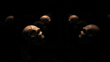 Humans were recording information 40,000 years ago, long before writing: Study