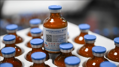 Turkish Republic of Northern Cyprus sends 10,000 vaccine doses to Greek Cypriot Administration