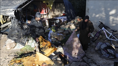 Cisjordanie : des colons israéliens illégaux attaquent une maison et volent le bétail, plusieurs animaux ont péri