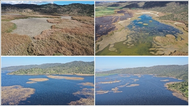 Kış yağışları Aydın'daki Azap Gölü'ne can verdi