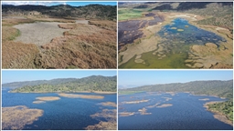 Kış yağışları Aydın'daki Azap Gölü'ne can verdi