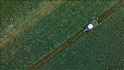 Son dönem yağışları su kaynaklarına ve tarımsal üretime olumlu yansıdı