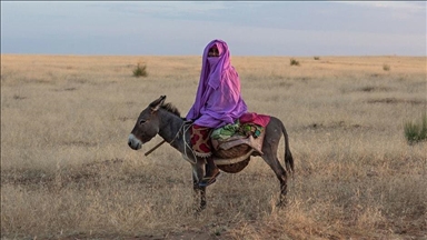ООН: более миллиарда человек могут потерять землю и жилье в ближайшие пять лет