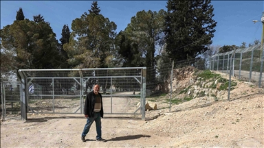 الضفة.. مستوطنون يصيبون فلسطينية ويهاجمون رعاة وأراضي زراعية