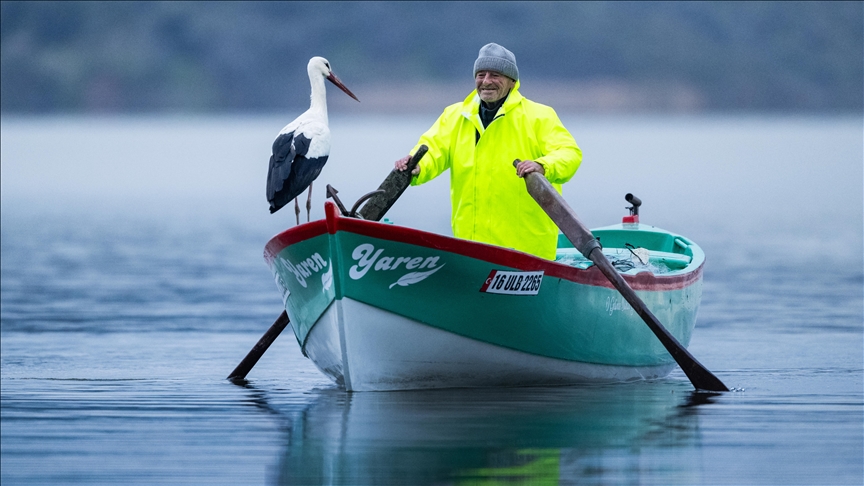 "Yaren" leylek göç mevsiminde bu yıl da Bursa'ya geldi