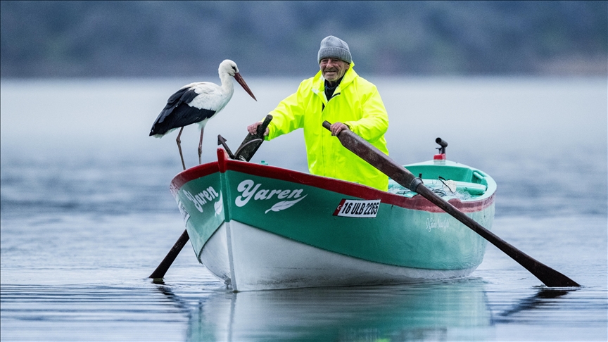 Turqi  lejleku  Yaren  rikthehet për të 15 tin vit radhazi në folenë e tij në qytetin Bursa