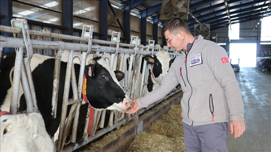 "Küpeli Çoban" aldığı destekle 100 baş hayvan kapasiteli modern çiftlik kuracak