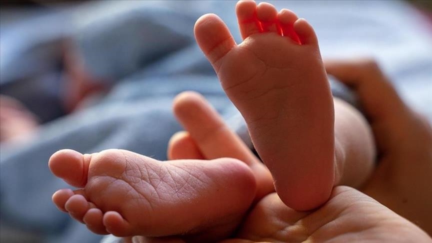 France : la toxine céréulide confirmée chez un bébé hospitalisé après consommation de lait infantile