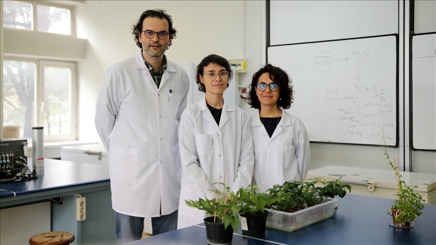 نبات فضائي.. أتراك يزرعون الطماطم بتربة تحاكي القمر والمريخ (تقرير)