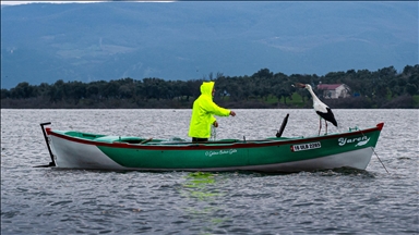 Yaren, famous stork’s 15th annual homecoming: Lands on fisherman’s boat again in northwestern Türkiye