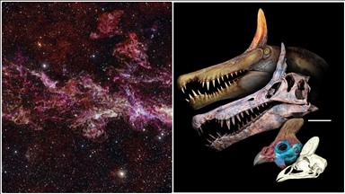 Yeni dinozor türünden Samanyolu Galaksisi'nin görüntüsüne kadar şubattaki bilimsel gelişmeler