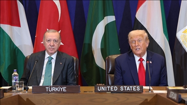 Президент Эрдоган обсудил с Трампом ситуацию в Иране и странах Персидского залива