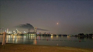 В порту Джебель Али в Дубае вспыхнул пожар