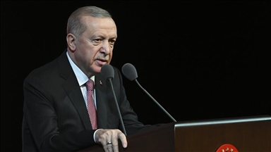 أردوغان يبحث مع ترامب التطورات في إيران ودول الخليج 