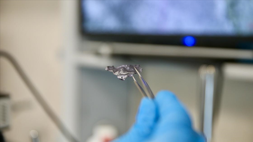 Atık ısıyı elektrik enerjisine çeviren, endüstriyel üretime uygun nano seramik folyo geliştirildi