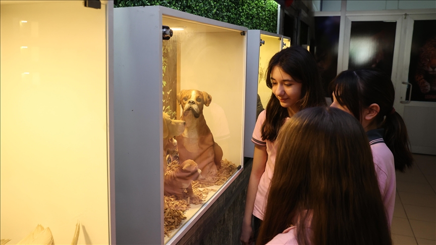 Okulda kurulan müzede öğrenciler doğayı okul ortamında keşfediyor