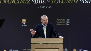 Turkish president, NATO chief discuss regional, global developments