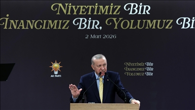 Le président Erdogan discute avec le secrétaire général de l’OTAN, Rutte, des dossiers régionaux et mondiaux 