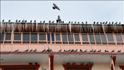 Li Qers û Erdexanê berf û sermayê tesîra xwe nîşan da