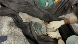 UNESCO “profundamente alarmada” por la muerte de “más de 100 personas” en una escuela primaria en Irán