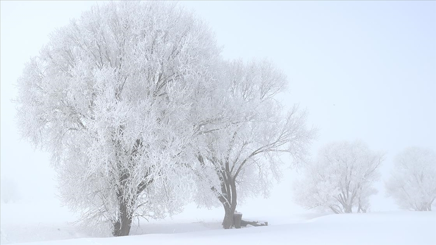 Erzurum, Ardahan, Kars ve Ağrı'da dondurucu soğuk hava etkili oluyor