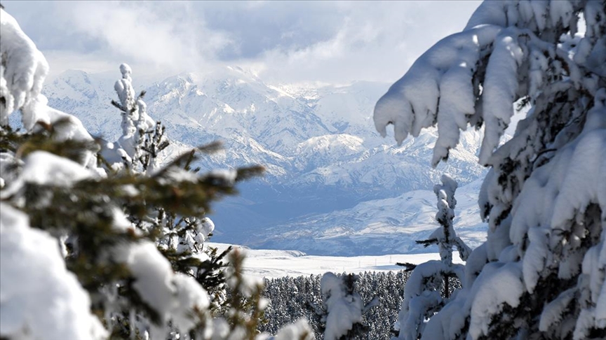 Erzurum, Ardahan, Kars ve Ağrı'da dondurucu soğuk hava etkili oluyor