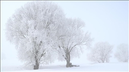 Li Erzirom, Erdexan, Qers û Agiriyê sir û serma zêde ye