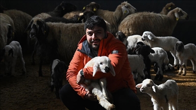 Üniversiteli genç, devlet desteğiyle başladığı hayvancılıkta söz sahibi olmak istiyor